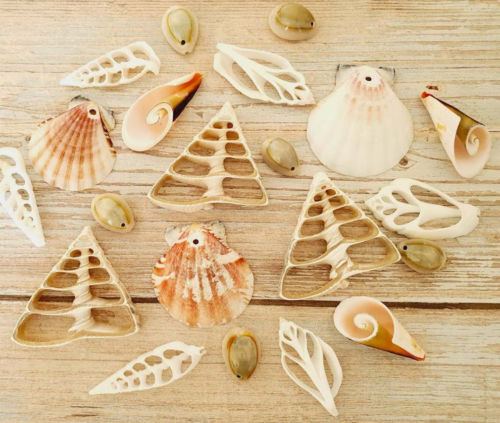 Sea Shell Tools Shaping Shells: A Guide to Drilling Sea Shells for DIY Projects with D ...