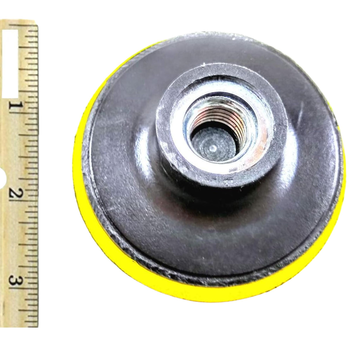 3 inch backing pad next to a ruler