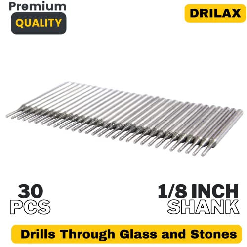 1mm Diamond Drill Bit Set Jewelry Beach Sea Glass Shells Gemstones 1/24 Inch Tip Bur 1/8 inch Shank Dremel Compatible Burr Lapidary 30 Pieces in Case Gems Natural Stones Drilling 1 mm